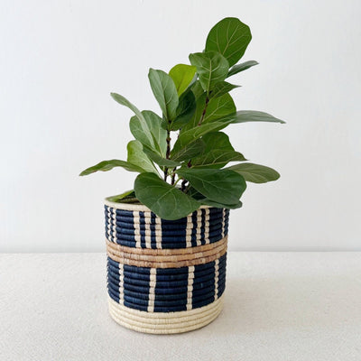 Bamba Planter Baskets - Amsha