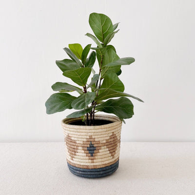 Bugoya Basket Planter - Amsha