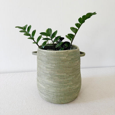 Nyumba Open Sweetgrass Pot - Amsha