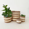 Storage Plant Basket: Banana Stripe - Amsha