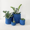 Storage Plant Basket: Blueberry - Amsha