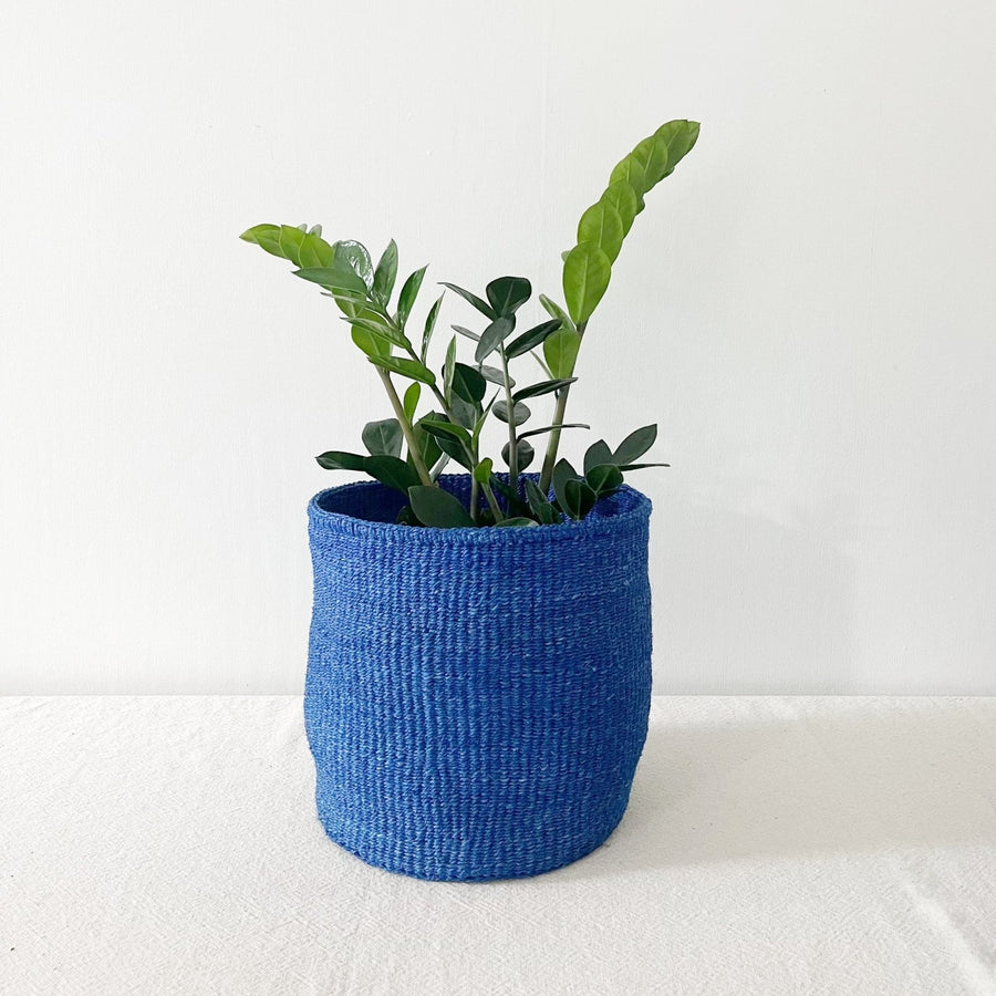 Storage Plant Basket: Blueberry