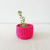 Storage Plant Basket: Dragonfruit - Amsha