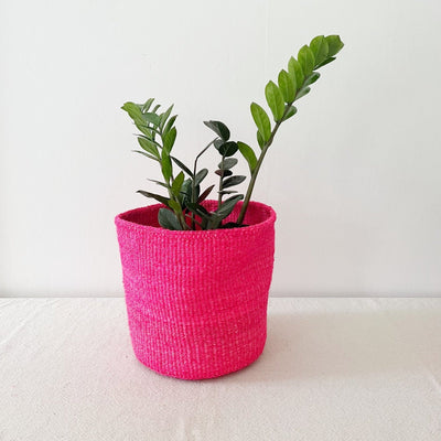 Storage Plant Basket: Dragonfruit - Amsha