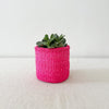 Storage Plant Basket: Dragonfruit - Amsha