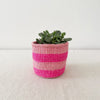 Storage Plant Basket: Flamingo - Amsha