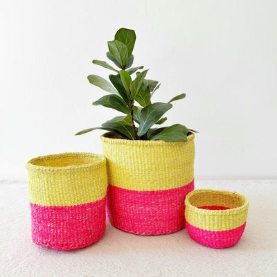 Storage Plant Basket: Lemonade - Amsha