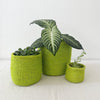 Storage Plant Basket: Lime - Amsha