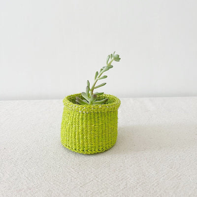 Storage Plant Basket: Lime - Amsha