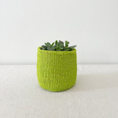 Storage Plant Basket: Lime - Amsha