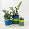 Storage Plant Basket: Lime Stripes - Amsha