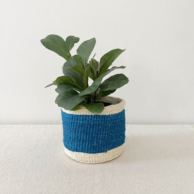 Storage Plant Basket: Lime Stripes - Amsha