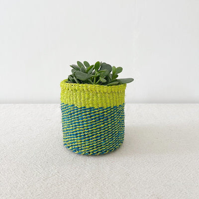 Storage Plant Basket: Lime Stripes - Amsha