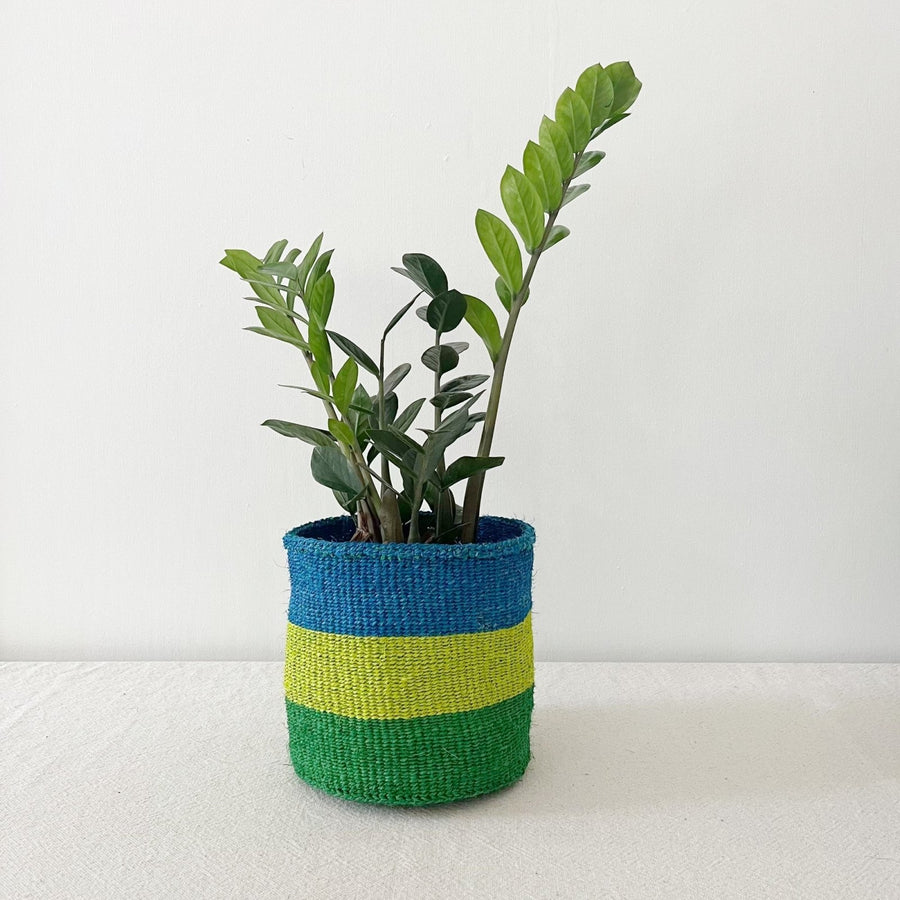 Storage Plant Basket: Lime Stripes - Amsha