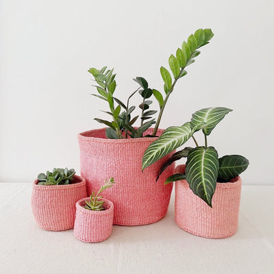 Storage Plant Basket: Pink Lemonade - Amsha