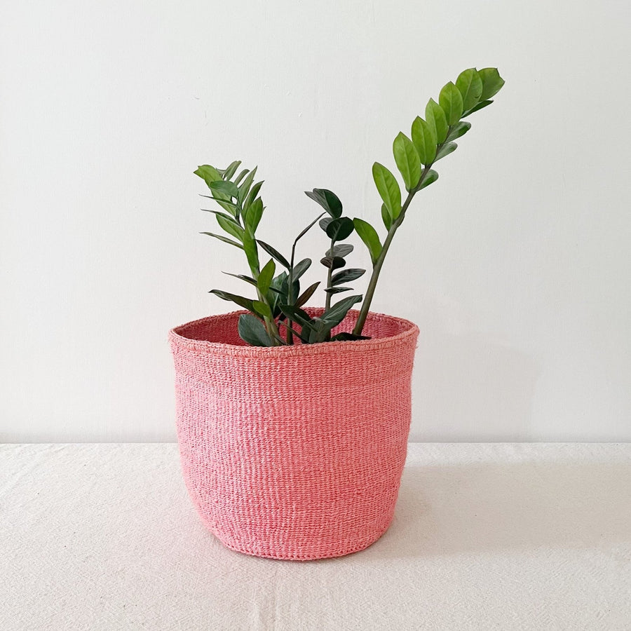 Storage Plant Basket: Pink Lemonade - Amsha