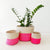 Storage Plant Basket: Pop of Pink