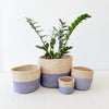 Storage Plant Basket: Pop of Purple - Amsha