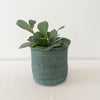 Storage Plant Basket: Sea Glass - Amsha