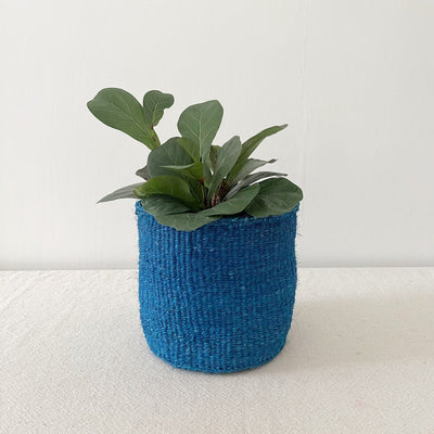 Storage Plant Basket: Teal Blue - Amsha