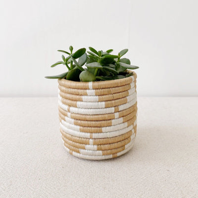 Storage Plant Basket: Zaza - Amsha