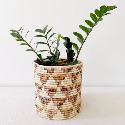 Storage Plant Baskets: Kilimbi - Amsha