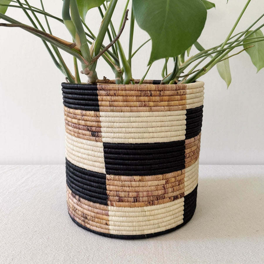 Storage Plant Baskets: Zindiro