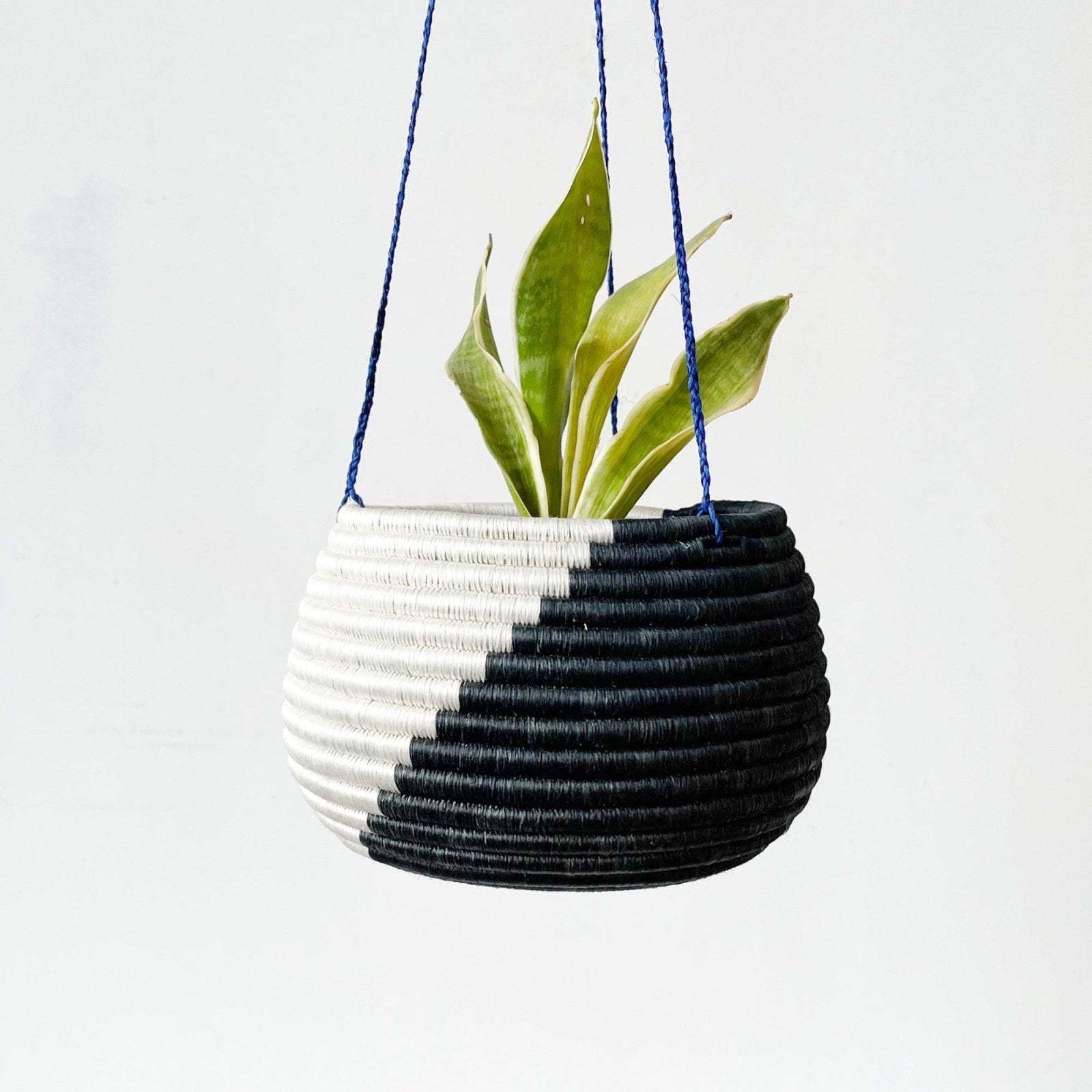 Large Black & store White Plant Holder Woven Basket